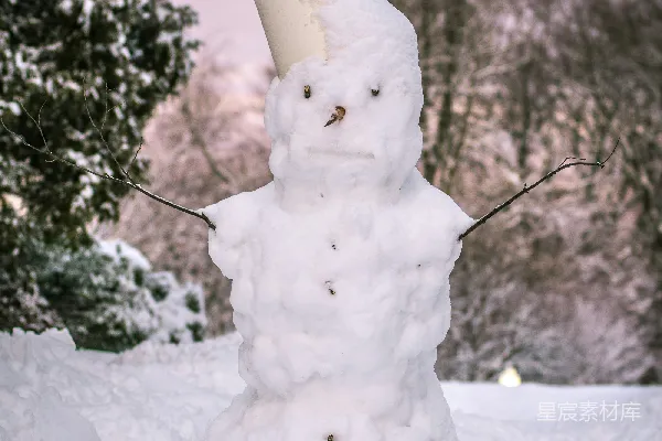 高清摄影 雪地里戴着杯子的雪人