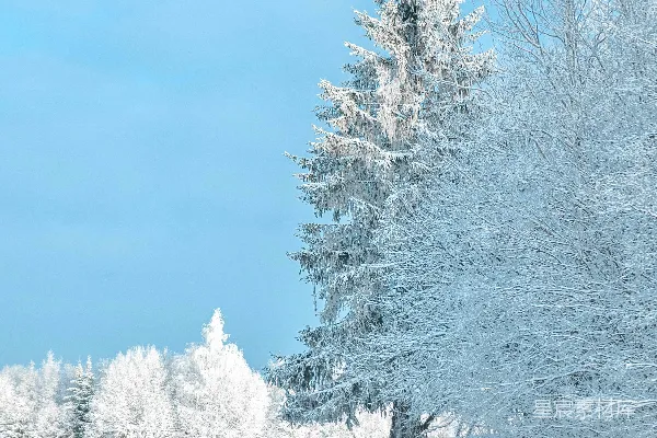 高清摄影 背景中有树木的雪覆盖田野