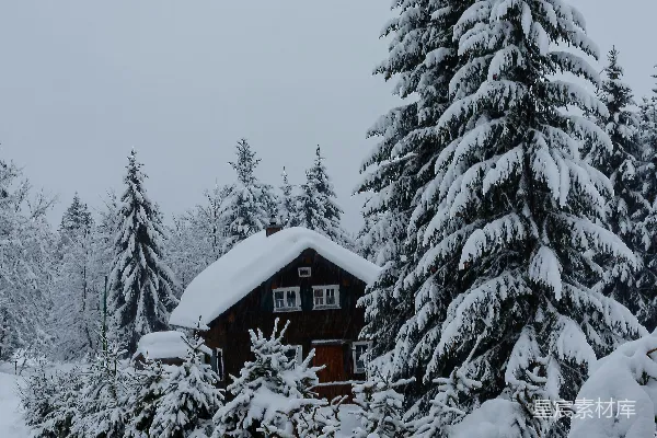 高清摄影 白天，一座用棕色木头建造的房子被雪覆盖着，旁边有绿色的松树。