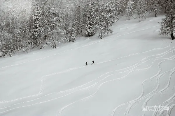 高清摄影 白天人在雪地覆盖的地上骑着滑雪板的人