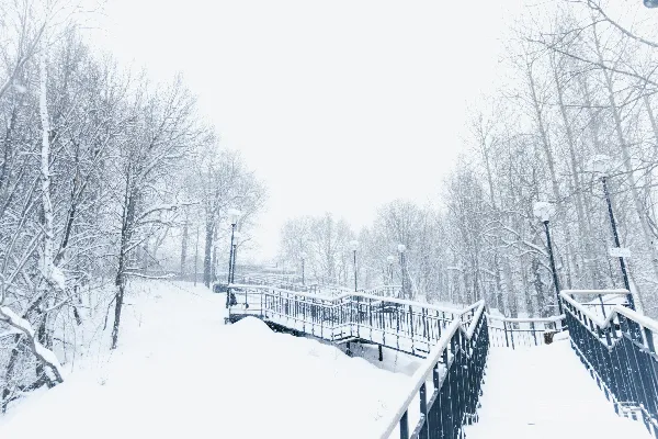 高清摄影 覆盖着白雪的公园，有一座桥和树木