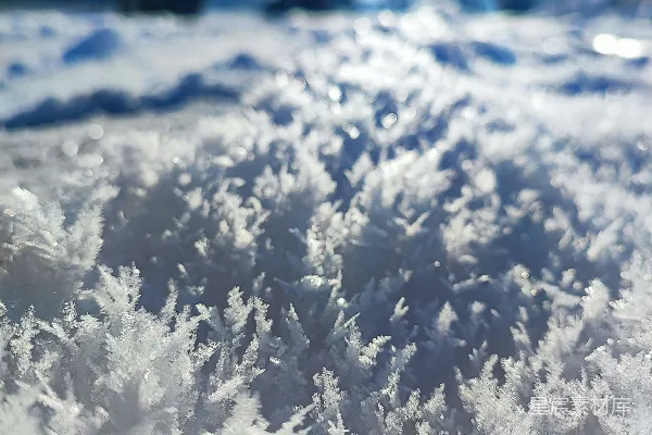 高清摄影 背景中有树木的雪覆盖的田野