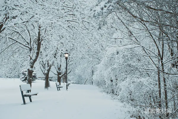 高清摄影 黑色夹克的人站在覆盖着积雪的地面，在白天。