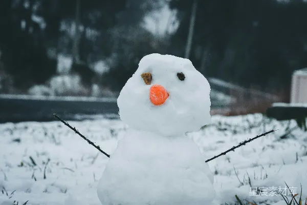 高清摄影 黑绳围裹的雪人