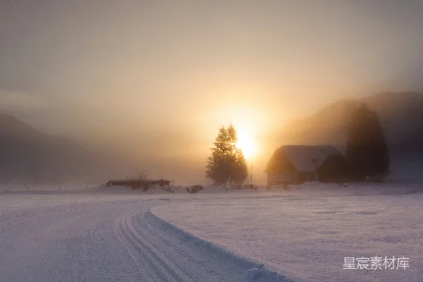 高清摄影 夕阳下的雪覆盖的田野