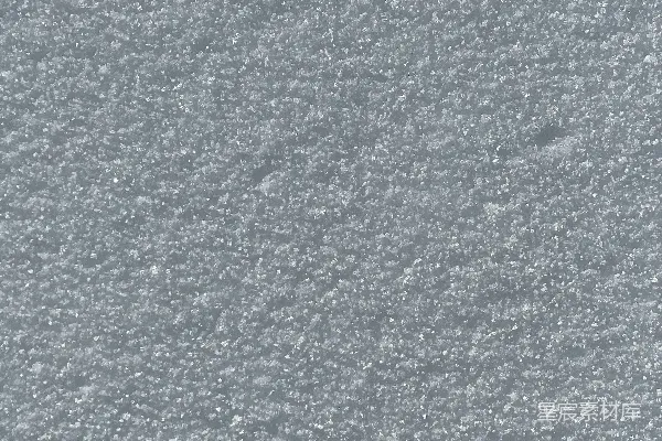 高清摄影 一只鸟站在覆盖着白雪的地上