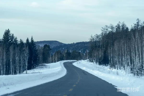 高清摄影 森林中一条被雪覆盖的道路