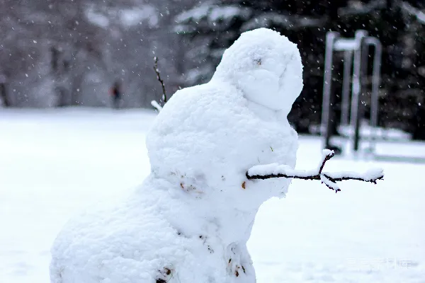 高清摄影 雪人坐落在覆盖着积雪的地面上，在白天。