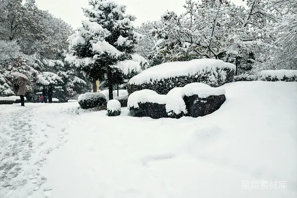高清摄影 覆盖着白雪的公园里有很多树木。