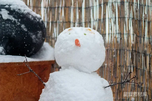 高清摄影 雪人站在竹篱笆前