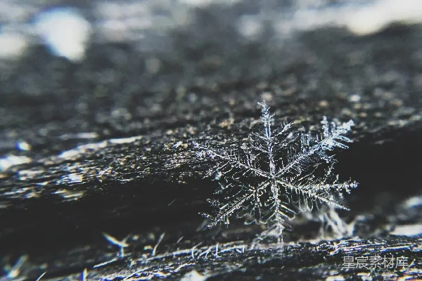高清摄影 雪flake