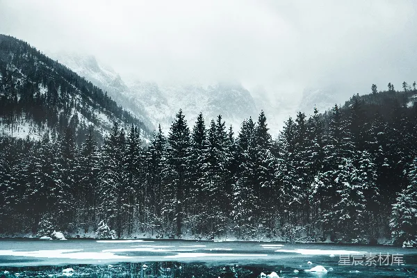高清摄影 白天积雪覆盖的松树和山脉