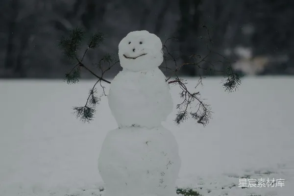 高清摄影 雪人站在一片雪地中央。
