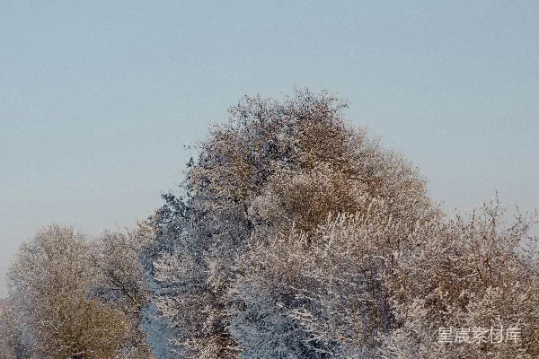 高清摄影 一个人在一条覆满白雪的小路上行走。