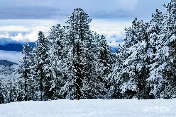 高清摄影 背景中有树木和云的雪景