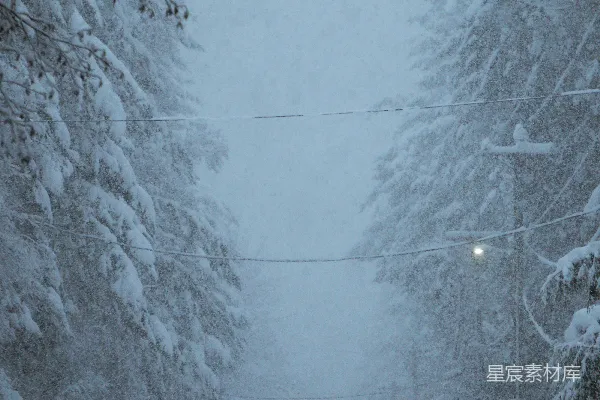 高清摄影 雪覆盖的街道，树木和电线杆。