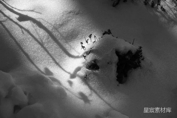 高清摄影 一张黑白照片，地面覆盖着白雪。
