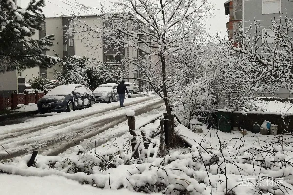 高清摄影 几辆停在雪地里的车