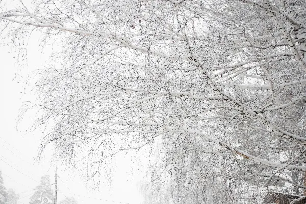 高清摄影 一条被雪覆盖的街道两旁是房屋和树木