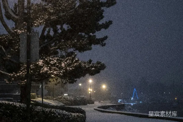 高清摄影 夜雪中的一盏街灯