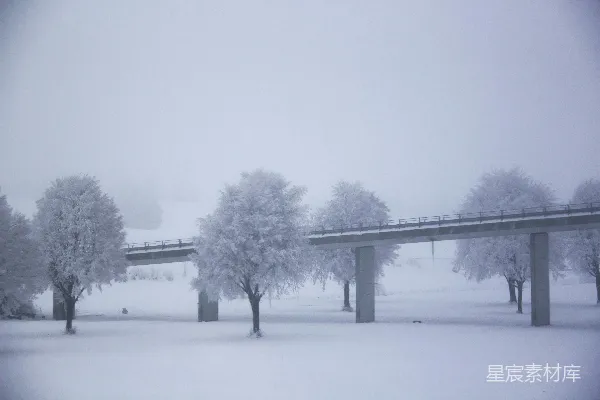 高清摄影 一幅覆盖着白雪的树木和小桥的风景图