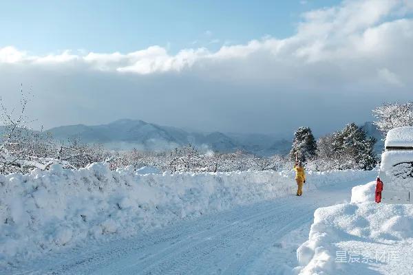 高清摄影 一个人在覆满雪花的道路中行走