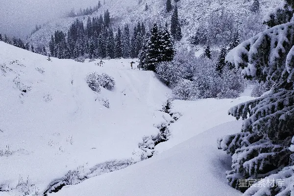 高清摄影 覆盖着白雪的山峦，地面和树上覆有积雪。