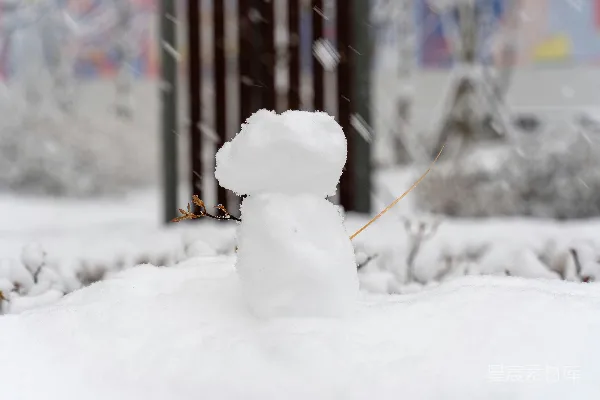 高清摄影 雪人站在雪地的正中央。
