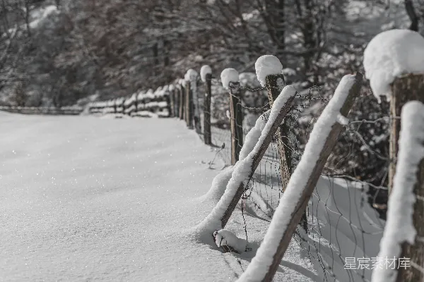高清摄影 一位男子面部特写，背景是雪地中的栅栏