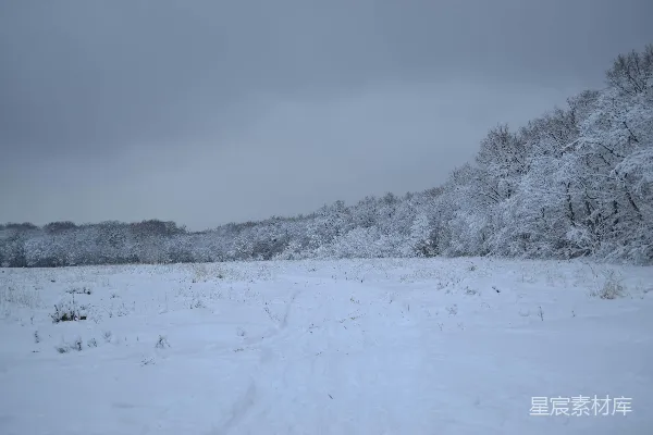 高清摄影 雪覆盖的田野和树木