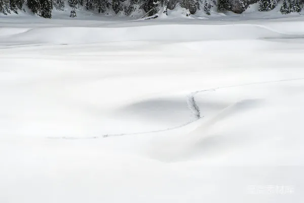 高清摄影 滑雪者在雪覆盖的斜坡上滑下