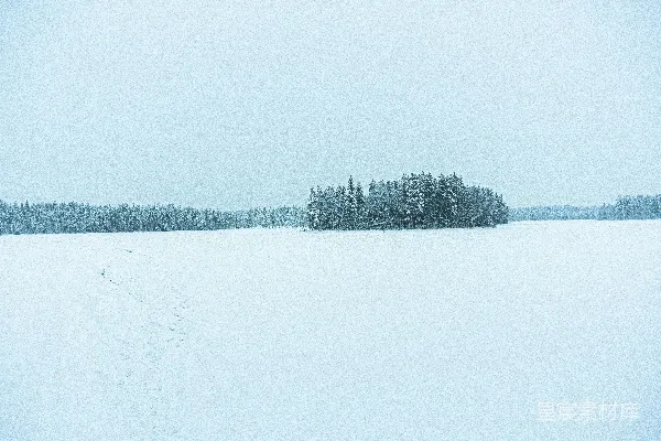 高清摄影 白色雪原
