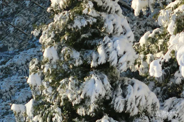 高清摄影 一个滑雪板运动员在雪地里
