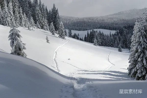 高清摄影 覆盖着白雪的山丘，树木与雪地车轨迹interspersed其中