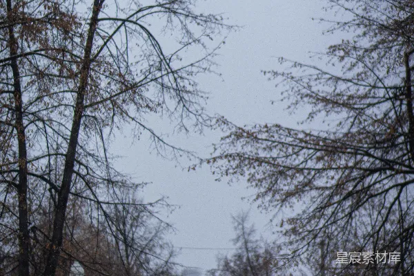 高清摄影 带有长凳和树木的雪地公园