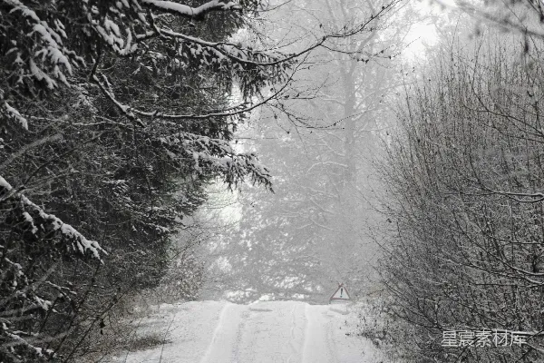 高清摄影 一条被雪覆盖的道路周围环绕着树木和灌木。