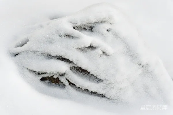 高清摄影 覆盖着白雪的地面上的一个特写镜头