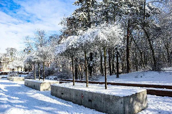 高清摄影 覆盖着白雪的公园，有长椅和树木