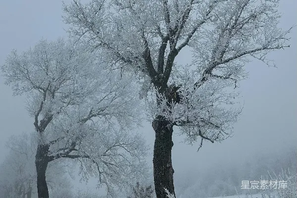 高清摄影 一辆车行驶在覆有白雪的公路之上