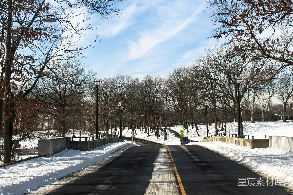 高清摄影 地上有积雪的大街以及背景中的树木