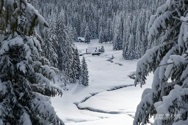 高清摄影 远处一片白雪覆盖的森林景象