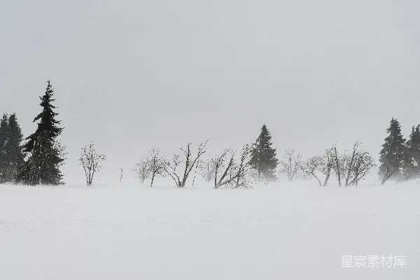 高清摄影 滑雪的人在一片雪地上。