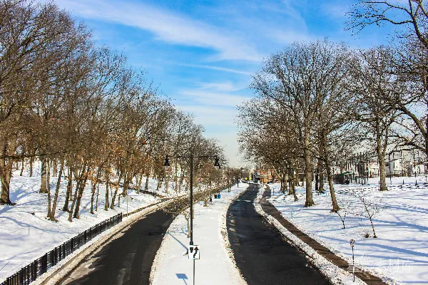 高清摄影 一条被雪花覆盖的街道两旁树木环绕，路灯通明。