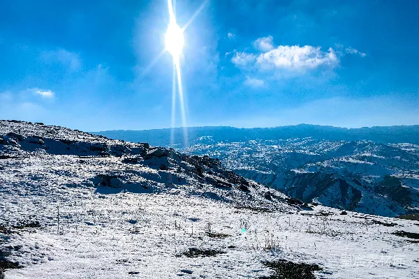 高清摄影 皑皑白雪下的阳光灿烂明媚。