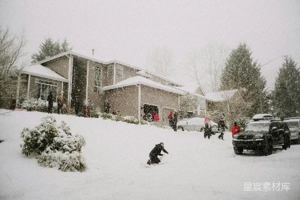 高清摄影 黑狗在雪覆盖的地上