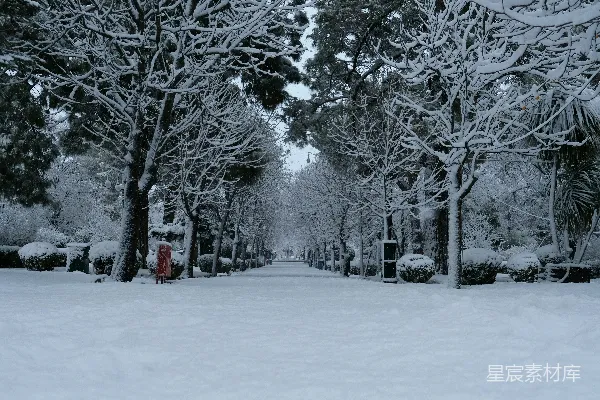 高清摄影 红色的消防栓孤零零地坐落在一片覆盖着白雪的公园中央。