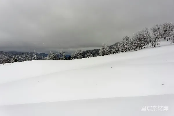 高清摄影 滑雪者在雪覆盖的山坡上滑下