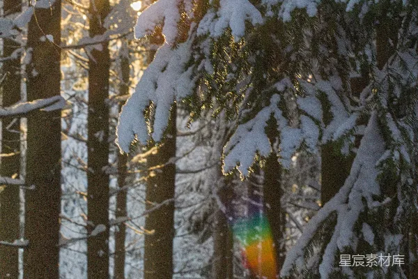 高清摄影 滑雪者在雪地上滑行