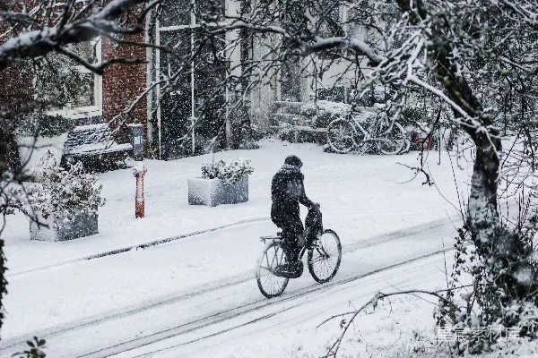 高清摄影 雪地里骑自行车的男人