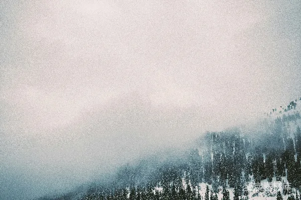 高清摄影 山顶白雪皑皑，树下云雾缭绕。
